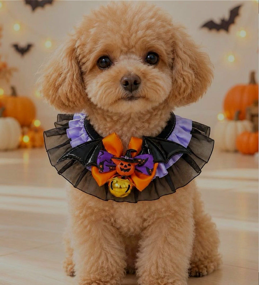 Collar calabaza de Halloween con gorguera y cascabel para mascotas