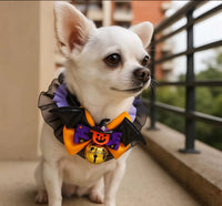 Collar calabaza de Halloween con gorguera y cascabel para mascotas