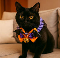 Collar calabaza de Halloween con gorguera y cascabel para mascotas
