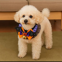 Collar calabaza de Halloween con gorguera y cascabel para mascotas