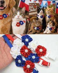 Collar de Fiestas Patrias para Perro y Gato - Flores Blanco, Azul y Rojo