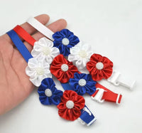 Collar de Fiestas Patrias para Perro y Gato - Flores Blanco, Azul y Rojo