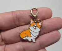 Dije Metálico para Collar de Mascota - Diseños de Razas