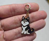 Dije Metálico para Collar de Mascota - Diseños de Razas