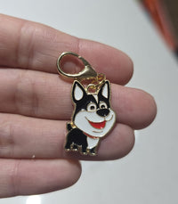 Husky sonriente