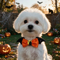 Perro con collar de Halloween naranjo entre calabazas