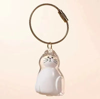 Llavero Acrílico Transparente de Gatito - Con Cable de Acero