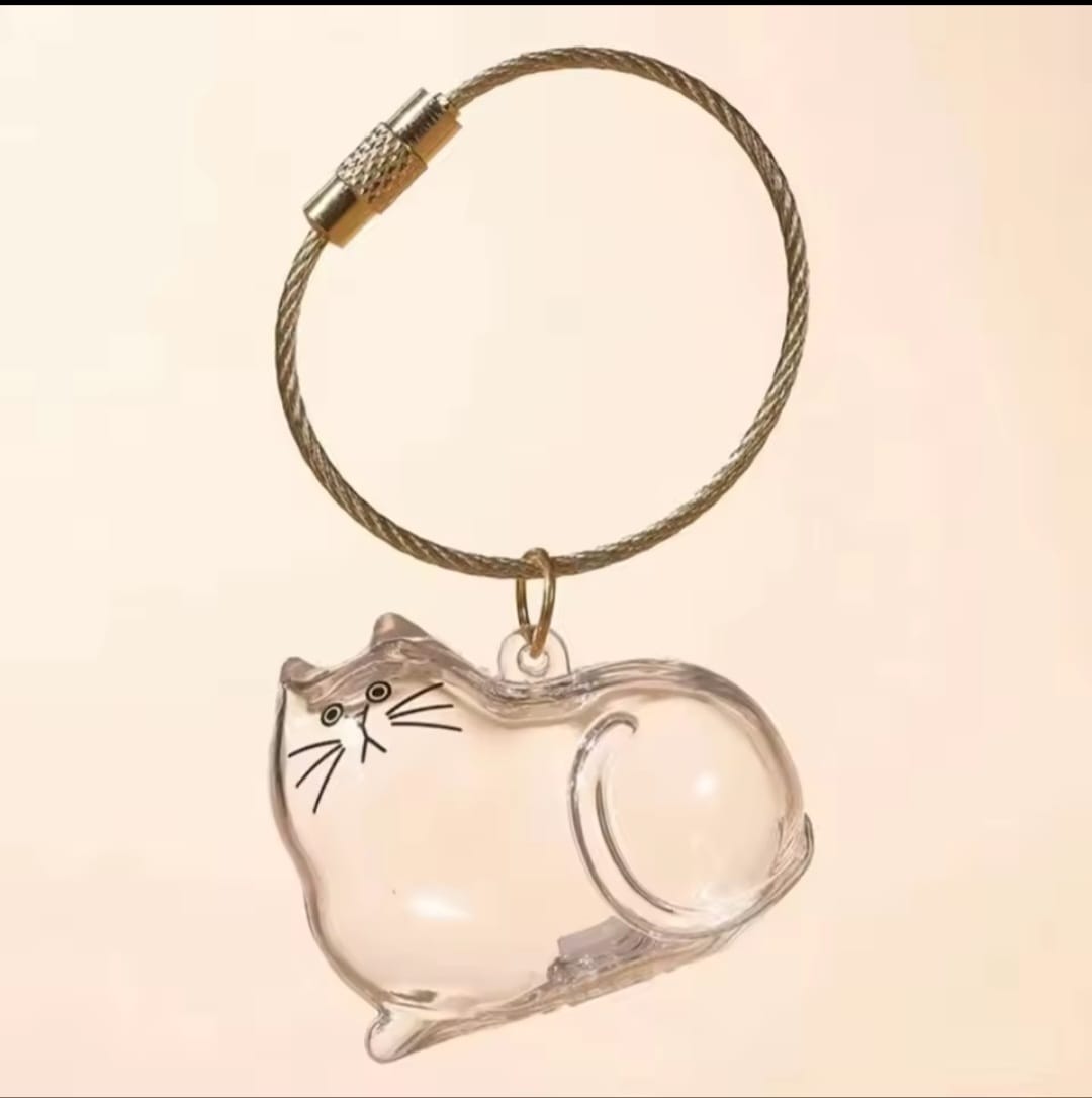 Gato transparente
