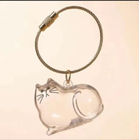 Gato transparente