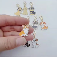 Dijes metálicos para collar de mascota en la mano