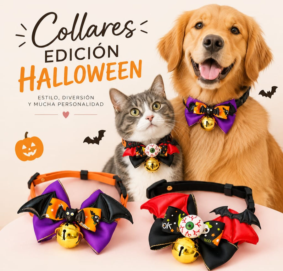 Collar de Halloween Spooky con cascabel para mascotas